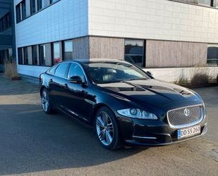 Jaguar Jaguar XJ Supersport 5.0 V8 Kompressor Supersport Gebrauchtwagen