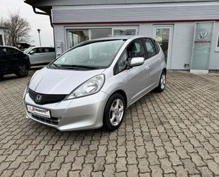 Honda Honda Jazz 1.2 Trend Gebrauchtwagen