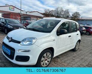 Fiat Fiat New Panda 1.2 8V *Klima*EURO 6* FESTPREIS* Gebrauchtwagen