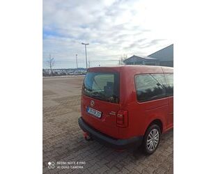 VW Volkswagen Caddy Maxi Gebrauchtwagen