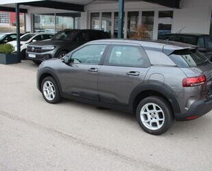 Citroen Citroën C4 Cactus Feel Zahnriemen neu, Navi Gebrauchtwagen