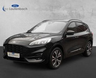 Ford Ford Kuga Hybrid ST-Line X Gebrauchtwagen