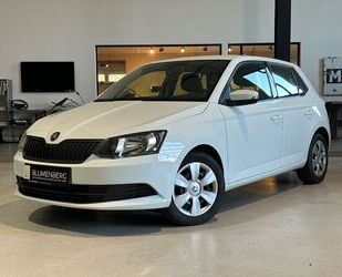 Skoda Skoda Fabia 1.2 TSI Cool Edition *Klima,Blueth.* Gebrauchtwagen