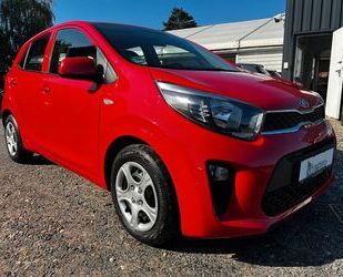 Kia Kia Picanto Edition 7 Gebrauchtwagen