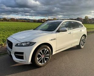 Jaguar Jaguar F-Pace 20d AWD R-Sport Automatik R-Sport Gebrauchtwagen