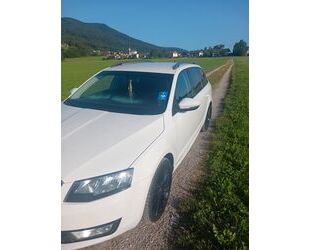 Skoda Skoda Octavia 2.0 TDI DSG Style Combi Style Gebrauchtwagen