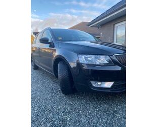 Skoda Skoda Octavia 1.6 TDI Kombi Gebrauchtwagen