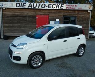 Fiat Fiat Panda 1.2 More / Klima Gebrauchtwagen