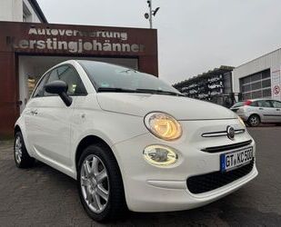 Fiat Fiat 500 Cult Gebrauchtwagen