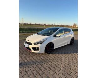 Kia Kia ceed / Ceed 1.6 T-GDI GT-Track Gebrauchtwagen