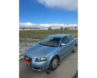 Audi Audi A3 8P Attraction DPF 1.9 TDI 105PS 5 Gang Gebrauchtwagen