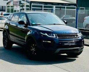 Land Rover Land Rover Range Rover Evoque SE Black *LEDER*PANO Gebrauchtwagen