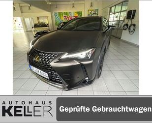 Lexus Lexus UX 250h Style Edition SONDERFOLIERUNG-CARPLA Gebrauchtwagen