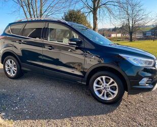 Ford Ford Kuga 2,0 TDCi 4x4 110kW Titanium Titanium Gebrauchtwagen