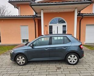 Skoda Skoda Fabia 1.0l MPI 44kW ACTIVE ACTIVE Gebrauchtwagen