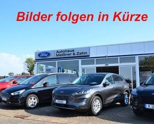 Ford Ford EcoSport Titanium, Navi, RFK, GJR, WinterP Gebrauchtwagen