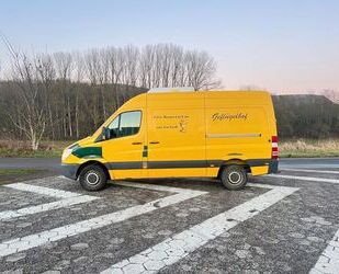 Mercedes-Benz Mercedes-Benz Sprinter L 2 H 2 Kühlkasten Gebrauchtwagen