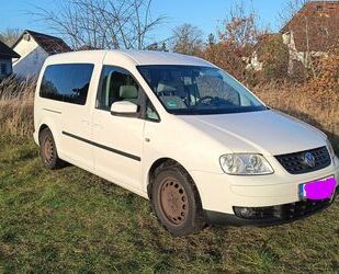 VW Volkswagen Caddy Maxi mit neuem Zahnriemen Gebrauchtwagen