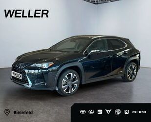 Lexus Lexus UX 250h Style Edition *LED*CarPlay*Kamera*TW Gebrauchtwagen