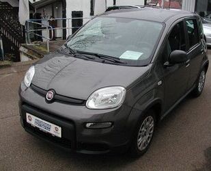 Fiat Fiat Panda 1.0 Mild Hybrid Allwetter Gebrauchtwagen