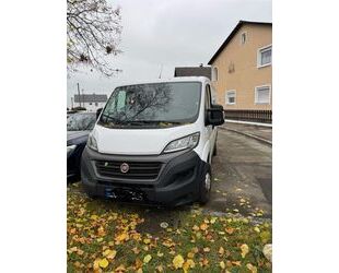 Fiat Fiat Ducato 1. Hand TOP ZUSTAND Gebrauchtwagen