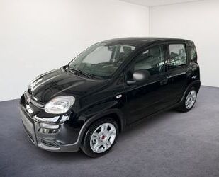 Fiat Fiat Panda 1.0 GSE /RADIO/KLIMA/PDC H/DAB Gebrauchtwagen