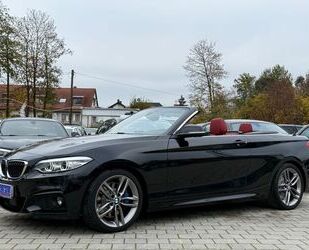 BMW BMW Cabrio 230 i M Sport/NAV/LED/TEMP/HARMAN/KAMER Gebrauchtwagen