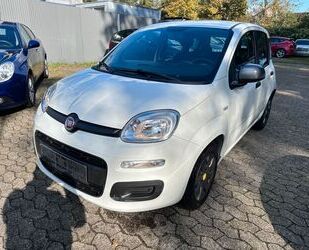 Fiat Fiat Panda Young KLIMA Gebrauchtwagen