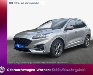 Ford Ford Kuga 1.5 EcoBoost ST-LINE X AHK, Keyless, RFK Gebrauchtwagen