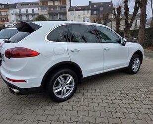 Porsche Porsche Cayenne - - Gebrauchtwagen