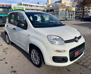 Fiat Fiat Panda Pop Motor 1,2 Ltr. Klima Gebrauchtwagen