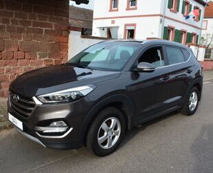 Hyundai Hyundai Tucson 1.6 blue Premium Edition 2WD Gebrauchtwagen