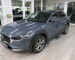 Mazda Mazda CX-30 SKYACTIV Selection Vollausstattung Gebrauchtwagen