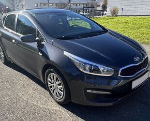 Kia Kia ceed / Ceed 1.0 T-GDI Dream Team Edition Dr... Gebrauchtwagen