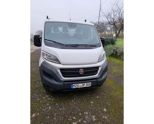 Fiat Fiat Ducato Gebrauchtwagen