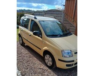 Fiat Fiat Panda Gebrauchtwagen