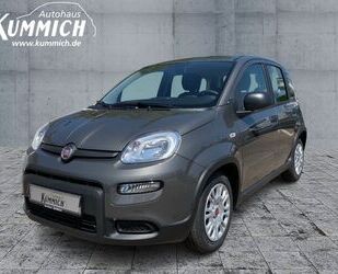 Fiat Fiat Panda Hybrid 1.0l 70PS Gebrauchtwagen