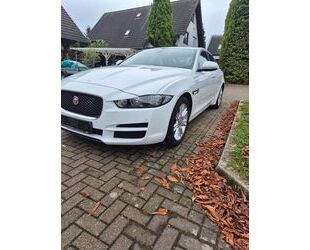 Jaguar Jaguar XE 20t 200PS Prestige Automatik Prestige Gebrauchtwagen