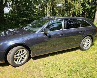 Audi Audi A4 2.0 TDI 140kW S tronic sport Avant sport Gebrauchtwagen