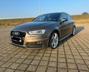 Audi Audi A3 2.0 TDI quattro S-line Gebrauchtwagen