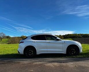 Alfa Romeo Alfa Romeo Stelvio 2.9 Bi-T. V6 375kW Quadrifoglio Gebrauchtwagen