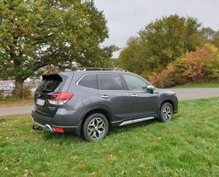 Subaru Subaru Forester 2.0ie Comfort Lineartronic Gebrauchtwagen