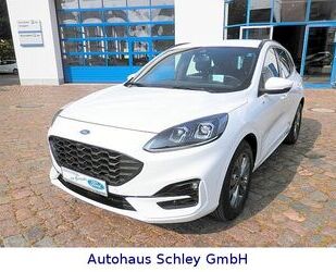 Ford Ford Kuga 2.5 Duratec FHEV ST-Line CVT*HUD*Winterp Gebrauchtwagen