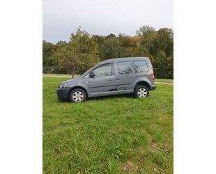 VW Volkswagen Caddy 2,0TDI 81kW 4MOTION JAKO-O 5-Sitz Gebrauchtwagen