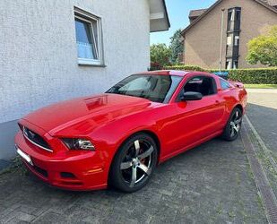 Ford Mustang Gebrauchtwagen