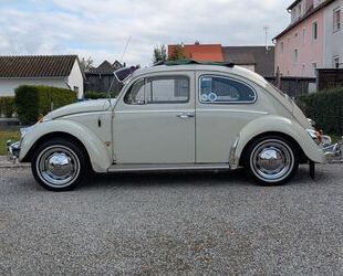 VW Volkswagen Käfer Gebrauchtwagen