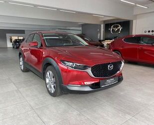 Mazda Mazda CX-30 2.0 120PS AT Selection Des-P Pre-P Gebrauchtwagen