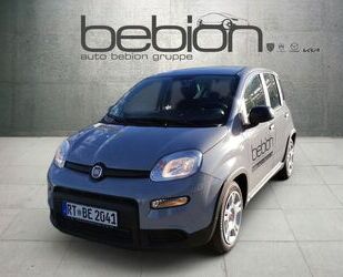 Fiat Panda Gebrauchtwagen