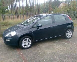 Fiat Fiat Punto 1.2 8V - Gebrauchtwagen