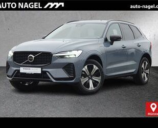 Volvo Volvo XC60 Recharge T8 Plus Dark PANO | STANDH | L Gebrauchtwagen